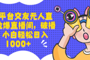 揭秘一对一无人直播项目：低成本开启盈利新赛道