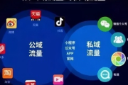 私域流量使用秘籍大公开：如何达成最佳效果实现流量价值最大化