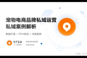 私域电商运营是什么？深度解析私域电商运营的内涵与奥秘