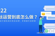 揭秘私域电商引流秘籍，掌握这些方法轻松开启流量增长之路