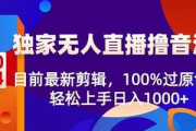 揭秘无人直播项目：零人力投入开启直播盈利新玩法