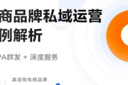 私域案例分析：成功案例与实践经验分享