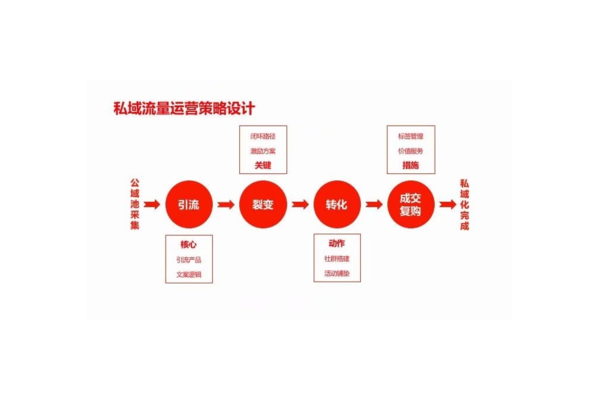 探索私域流量载体：解锁新途径，开启营销增长新引擎