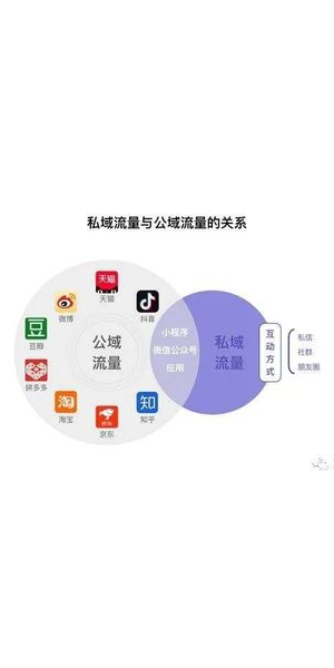 私域与公域流量：营销新趋势与策略
