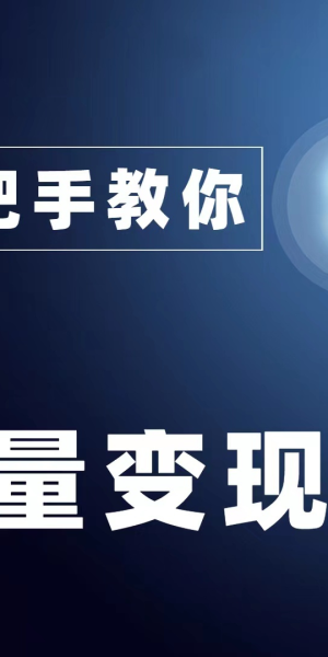 私域流量引流项目：打造高效转化的策略