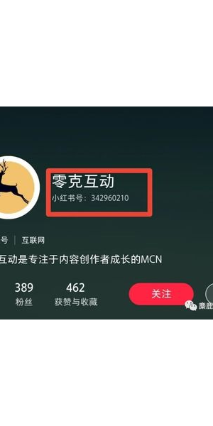 轻松掌握！快速精准查询小红书号的实用方法