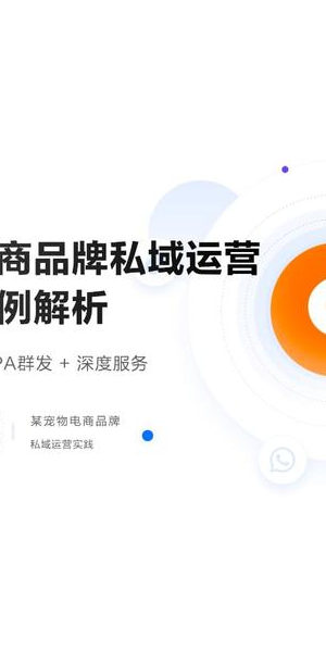 私域电商运营的具体含义及重要性