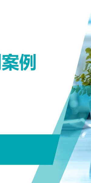 水果私域运营成功案例深度剖析:PPT 呈现实战秘诀