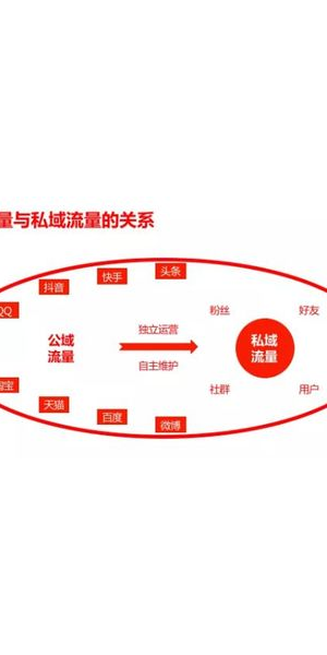 私域流量案例大全:成功案例与实践经验分享