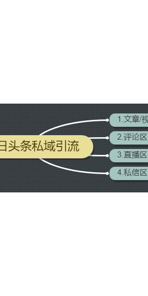 揭秘超实用引流私域方法，轻松开启精准客户增长新通道