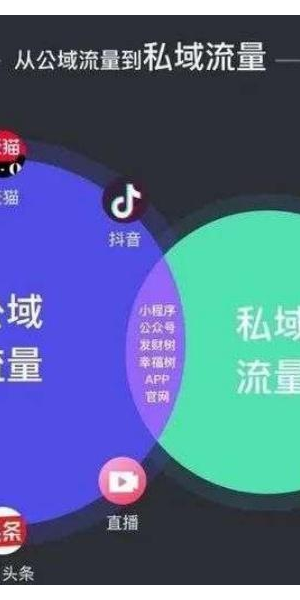 揭秘私域流量变现平台：开启低成本高回报的财富增长新路径