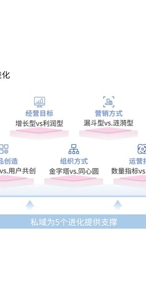 私域:揭秘独特商业模式,开启商业运营新视角