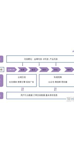 深度剖析：[具体品牌]电商私域流量运营成功案例背后的秘诀