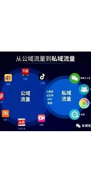 私域流量使用秘籍大公开：如何达成最佳效果实现流量价值最大化