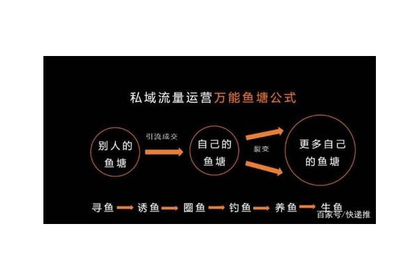 私域与微商大不同,从模式到运营全面解析差异