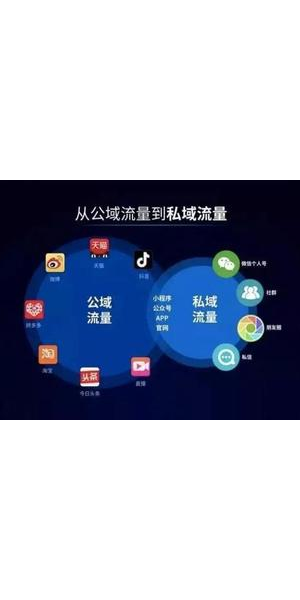 私域流量大揭秘：高效引流至淘宝的实战攻略与技巧