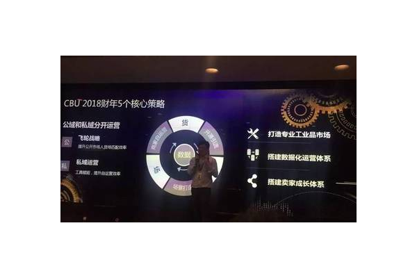 飞轮私域：构建高效增长闭环，开启流量运营新篇