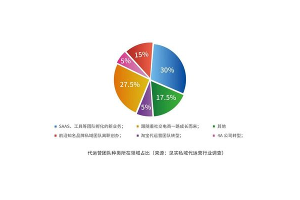 私域运营公司：打造专属用户社群的策略与实践