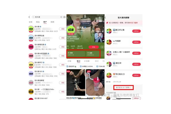 探秘小红书私域流量:暗藏机遇还是挑战重重?