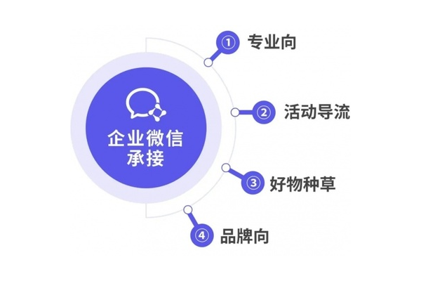 新私域系统开发:开启高效私域运营全新篇章