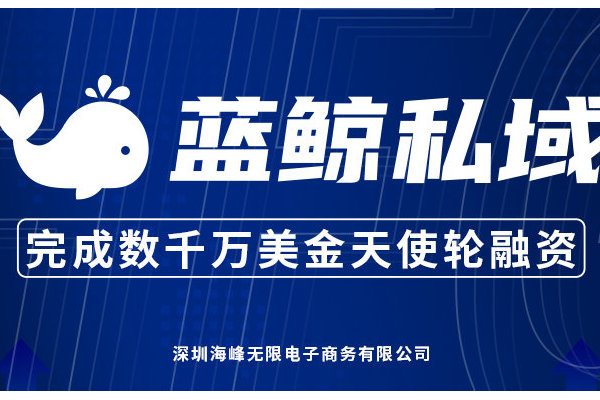 蓝鲸私域：开启高效精准营销，解锁私域流量增长新密码