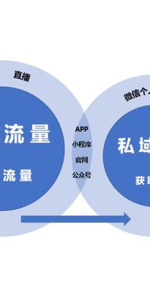 私域流量引流秘籍大公开,精准获客开启业务增长新通道