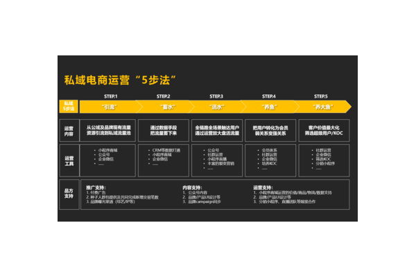 电商私域运营秘籍：搭建高粘性流量池，实现业绩持续增长