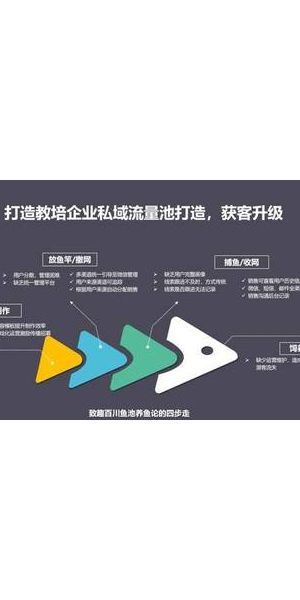 私域流量pdf：解锁流量密码，开启高效营销新路径