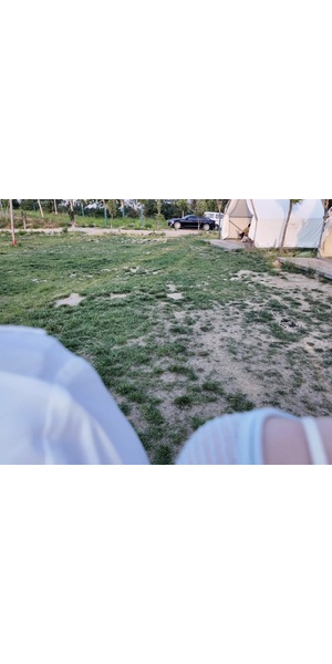 AI无人直播公司大揭秘：最大的几家都藏在哪些地方？