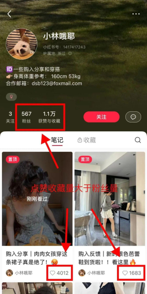 小红书号是什么意思？一文带你彻底搞懂！