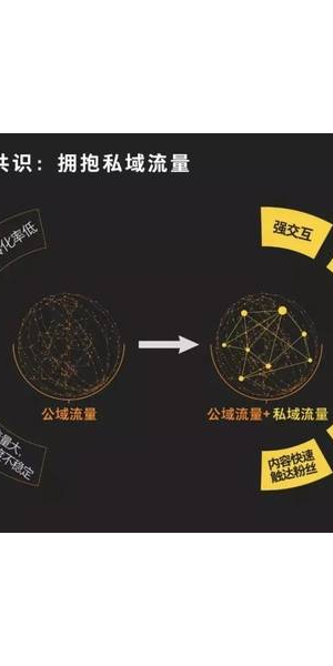私域流量：挖掘客户忠诚度的金矿还是陷入营销内卷的陷阱？