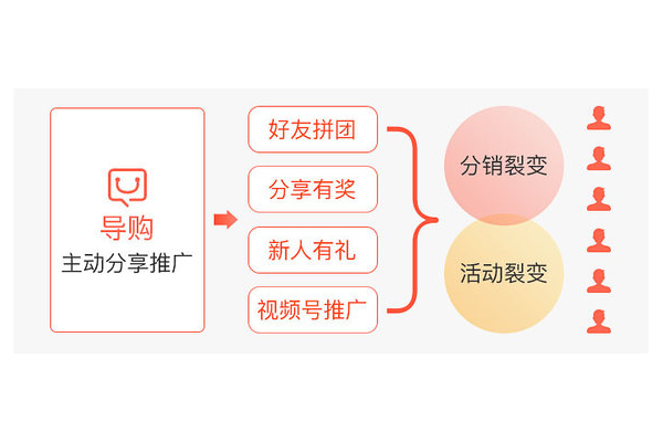 私域会员运营：打造忠诚客户群体的策略