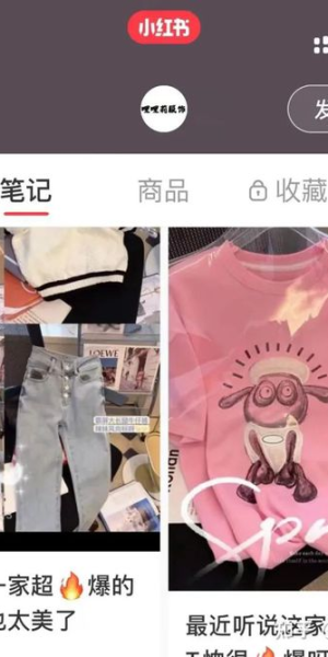 超划算账号批发来啦！小红书宝藏账号等你挑！