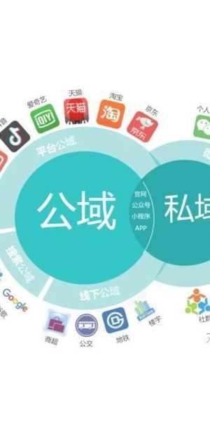 淘宝引流秘籍大公开，私域流量轻松引入，开启财富新通道