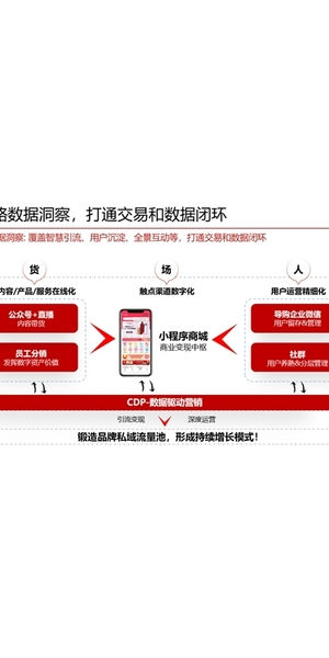 从0到1搭建私域流量池：[品牌名]的成功案例揭秘