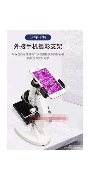 赚钱的无人直播手机：全新体验与商机