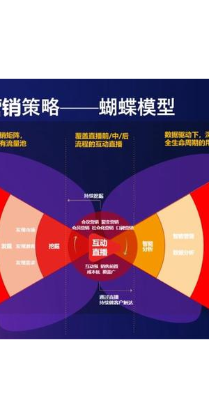 私域流量营销案例指南：揭秘成功玩法与策略要点