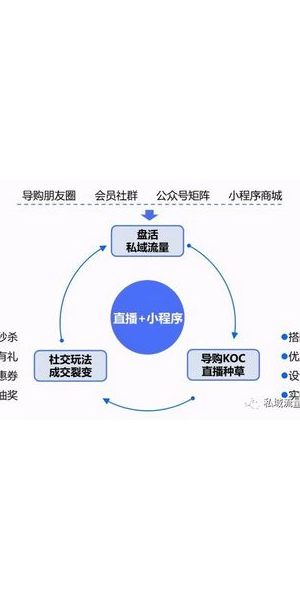 私域流量价值变现法则：解锁客户终身价值的财富密码