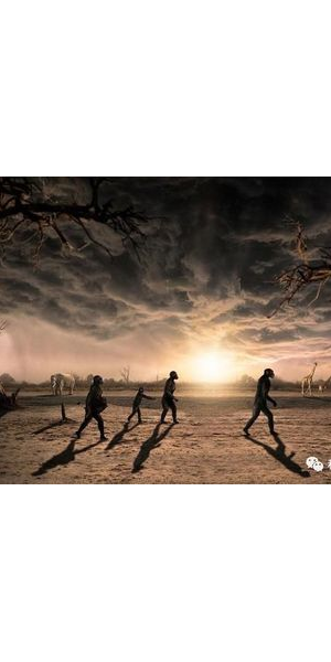 地球村无人区直播：探秘未知，开启一场惊心动魄的视觉冒险