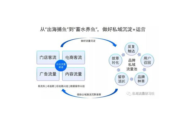 如何做好私域：策略与实践全攻略