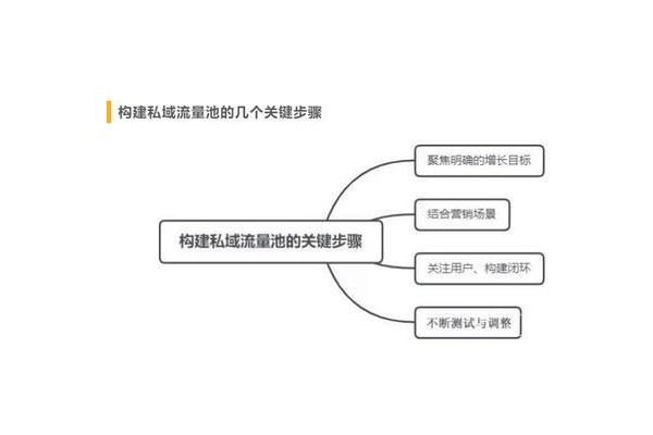 构建私域流量池：解锁客户留存与转化增长新密码