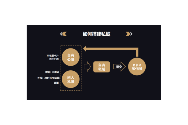 私域产品究竟怎么样?全方位剖析带你一探究竟