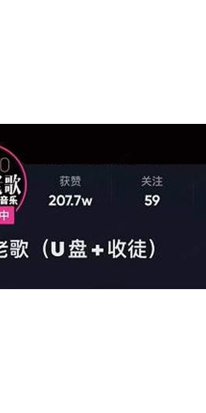 抖音只放音乐无人直播：别样视听盛宴，开启独特直播之旅