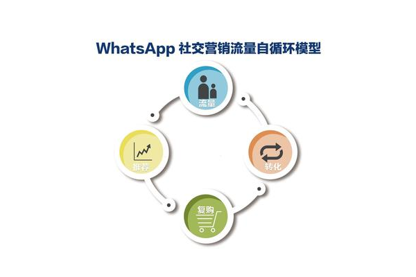 私域电商平台搭建指南：从0到1打造高转化私域流量阵地