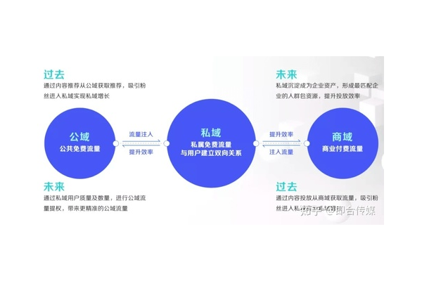 企业私域流量增长秘籍：策略、方法与实战案例剖析