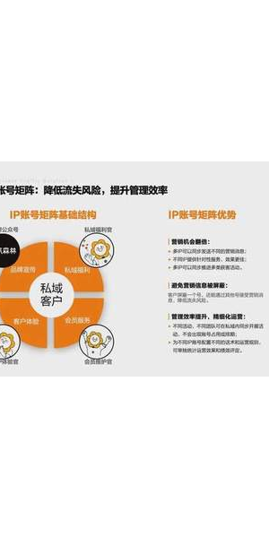 私域IP打造秘籍：解锁流量密码，开启商业变现新征程