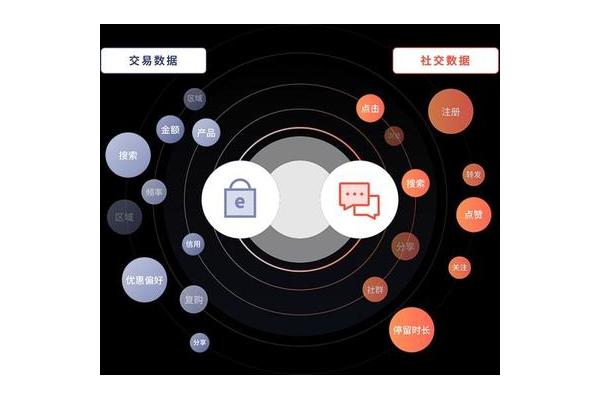 私域数据分析：洞察用户行为，解锁私域流量增长新密码