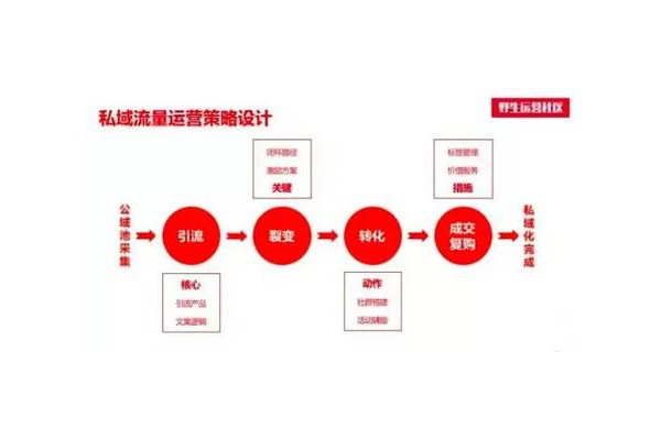 私域运营与社群运营深度融合：解锁用户增长新密码