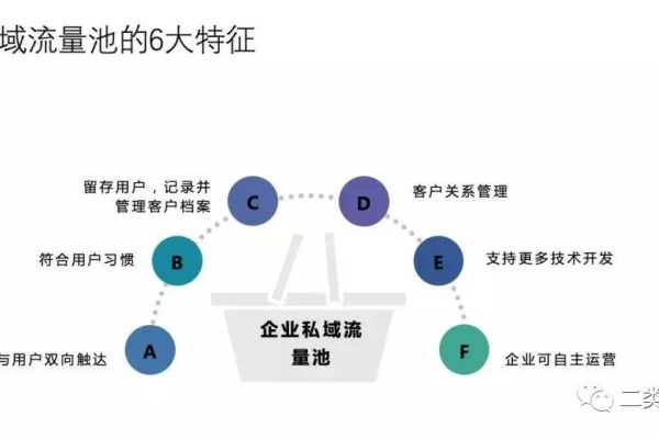私域流量开发秘籍：精准策略与实战技巧助力业务增长