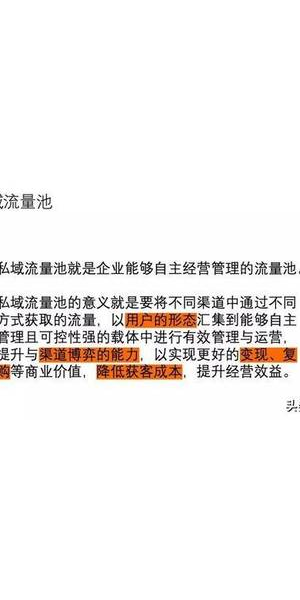 何为私域流量池？深度剖析其概念、构建及运营策略